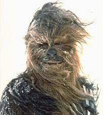 chewbacca.jpg